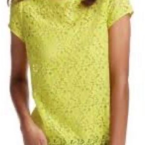 Lace chartreuse cap sleeve top from the Loft